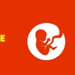 BitLife Simulator 1 Game Icon